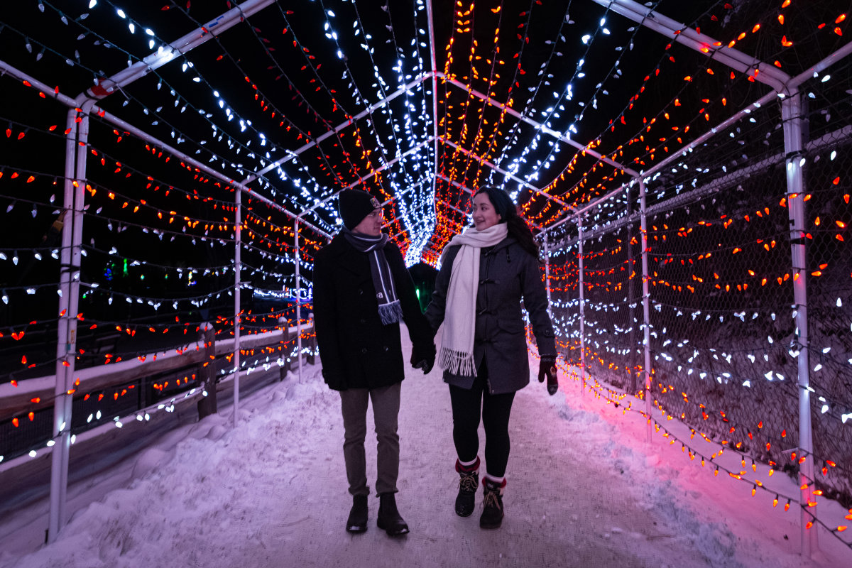 kate&carter-wildlights-35