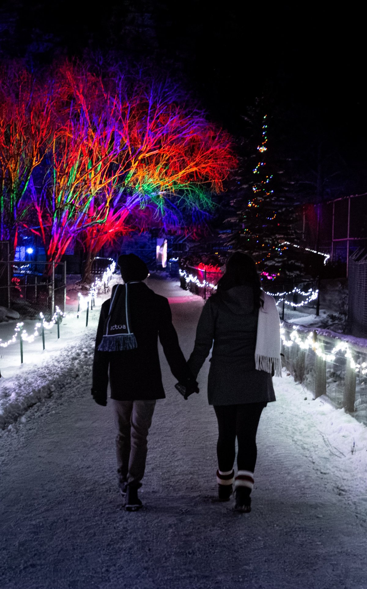 kate&carter-wildlights-16