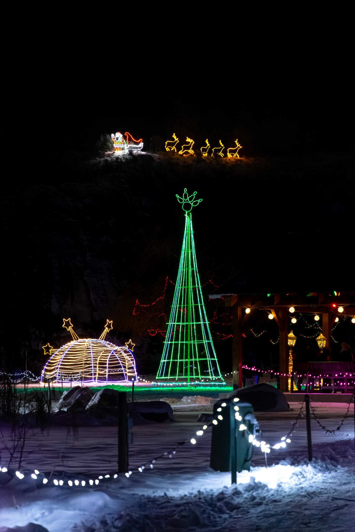 kate&carter-wildlights-04