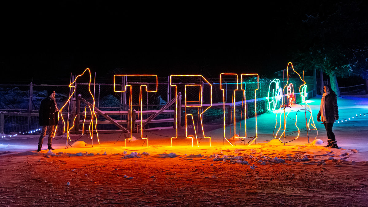kate&carter-wildlights-09