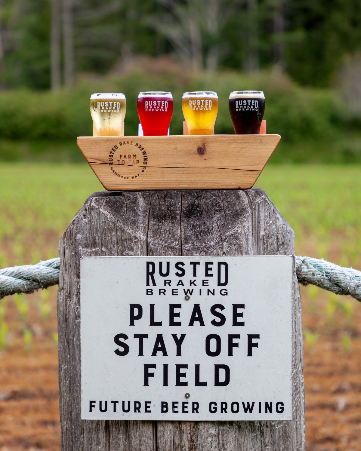 rr-brewing-60