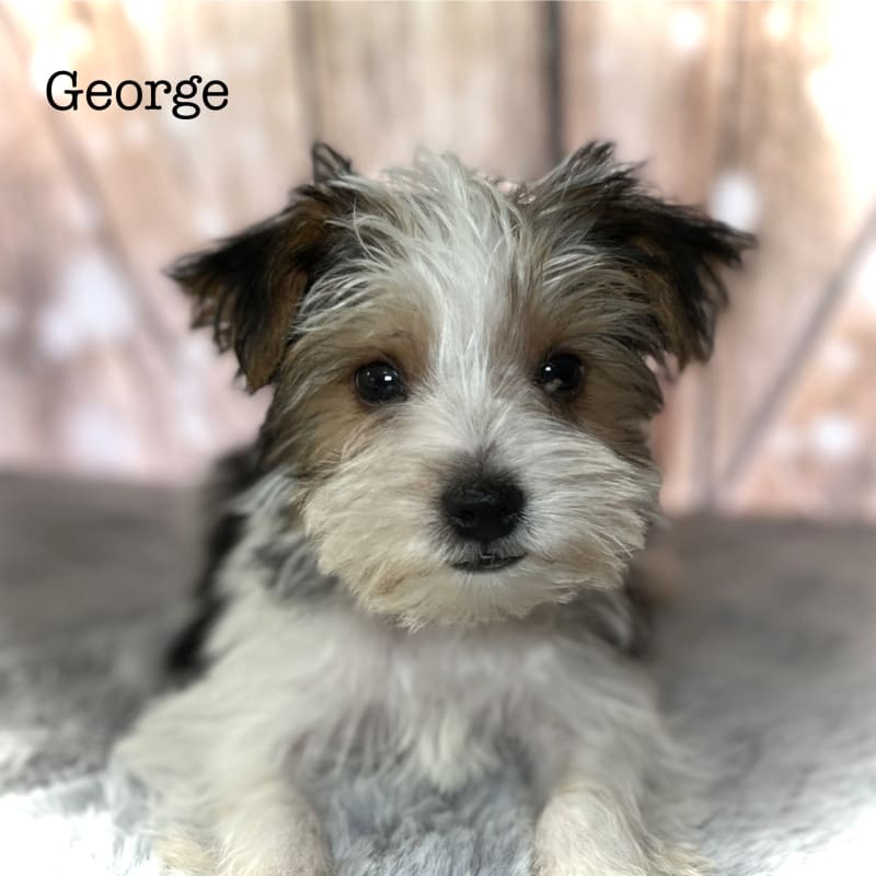 George 1