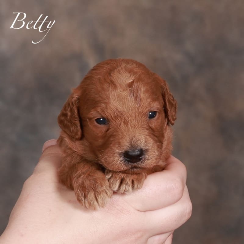 Betty 1