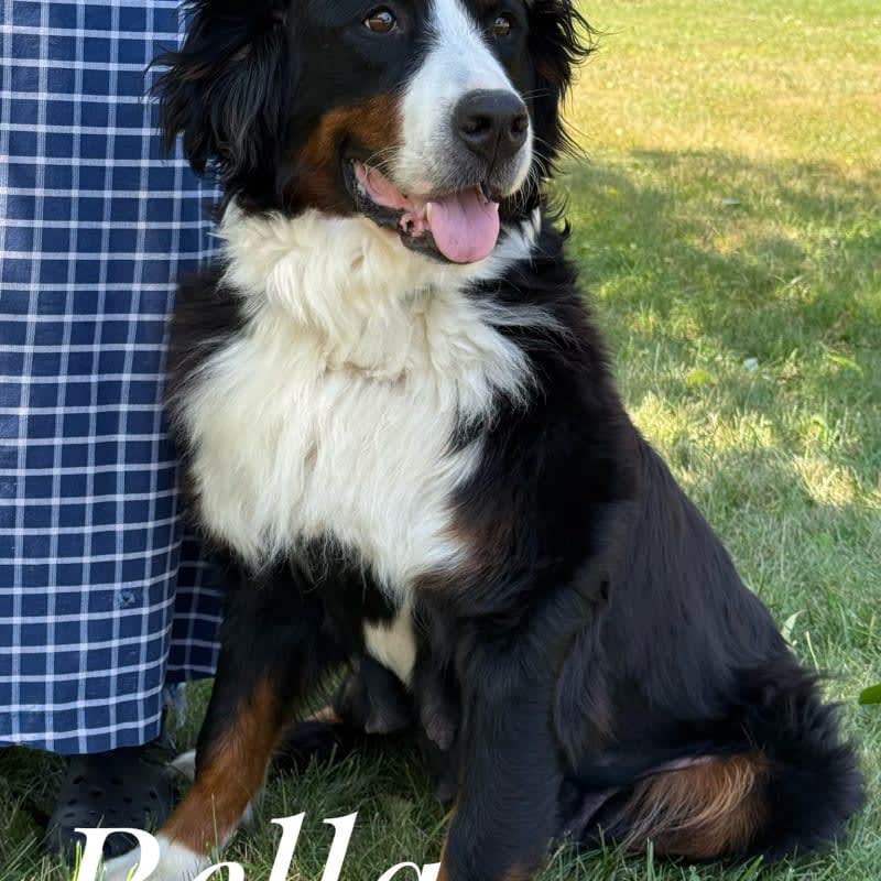 Bella