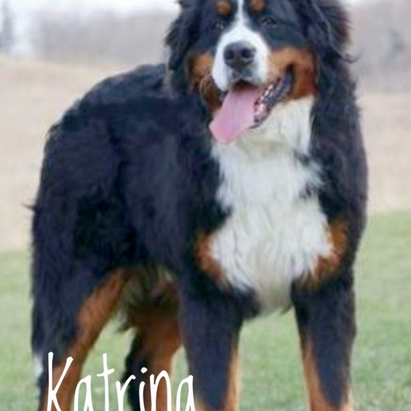 Katrina