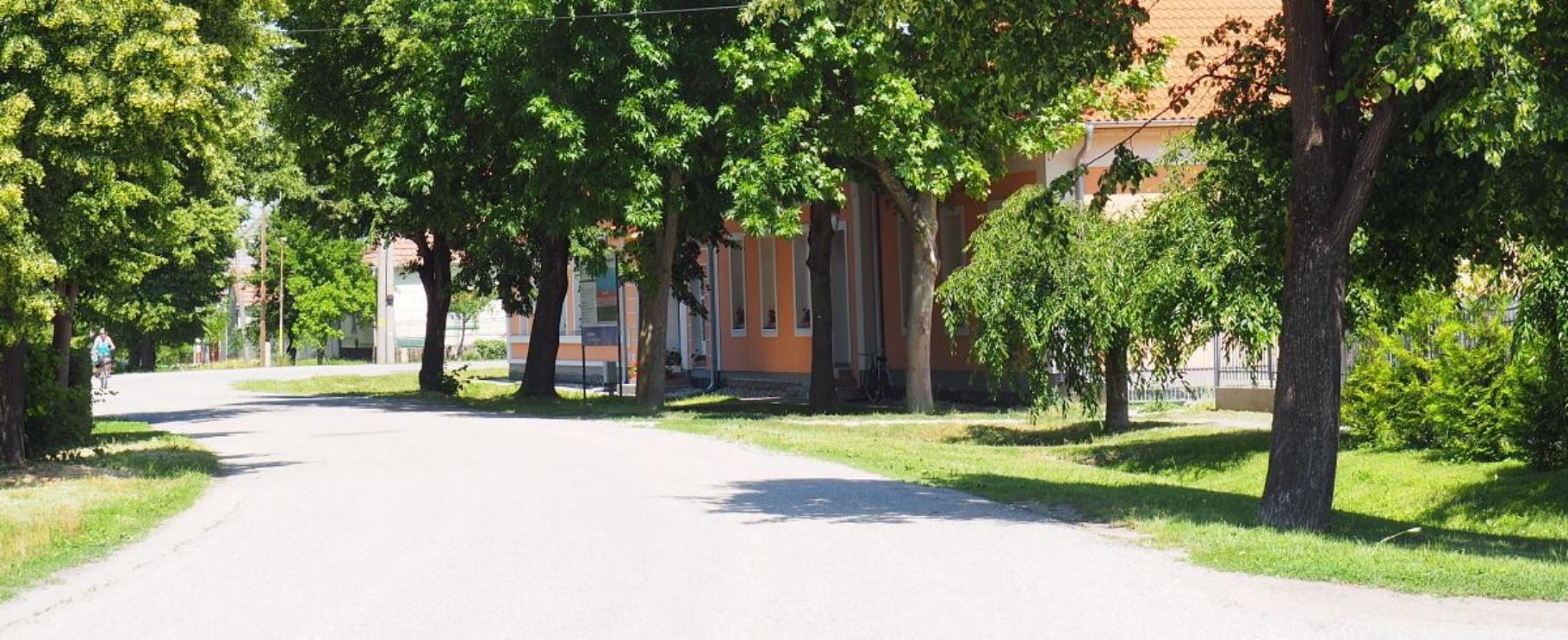 Realizácia firmy Zemné – Výkopové práce / bagrista – Topoľčany