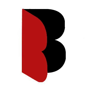 Branex s.r.o. - automatizácia, garážové brány, elektroinštalácie, zámočníctvo.