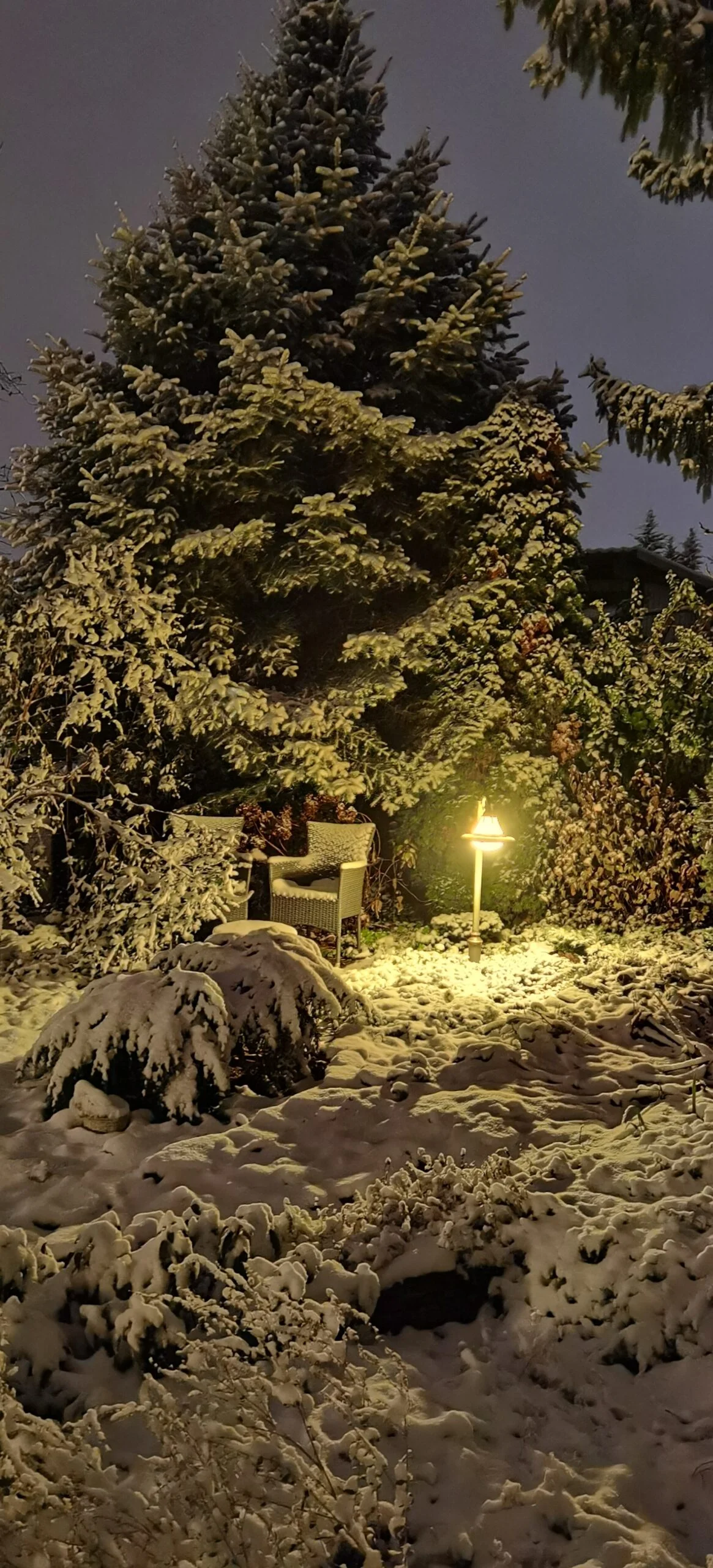 Realizácia firmy CASTRUM GARDEN - Ing. Attila Szabó – Záhradný a krajinný dizajn – Nové Zámky
