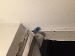 Realizácia firmy Multi-Form - RMdoor s.r.o. – Ploty a brány – Nitra
