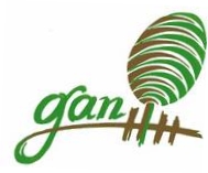 GAN