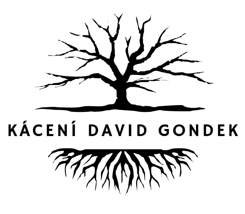 David Gondek