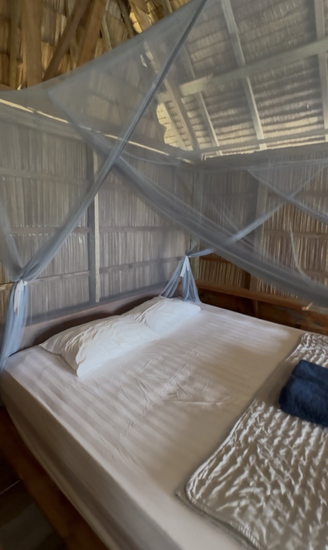 Homestay room