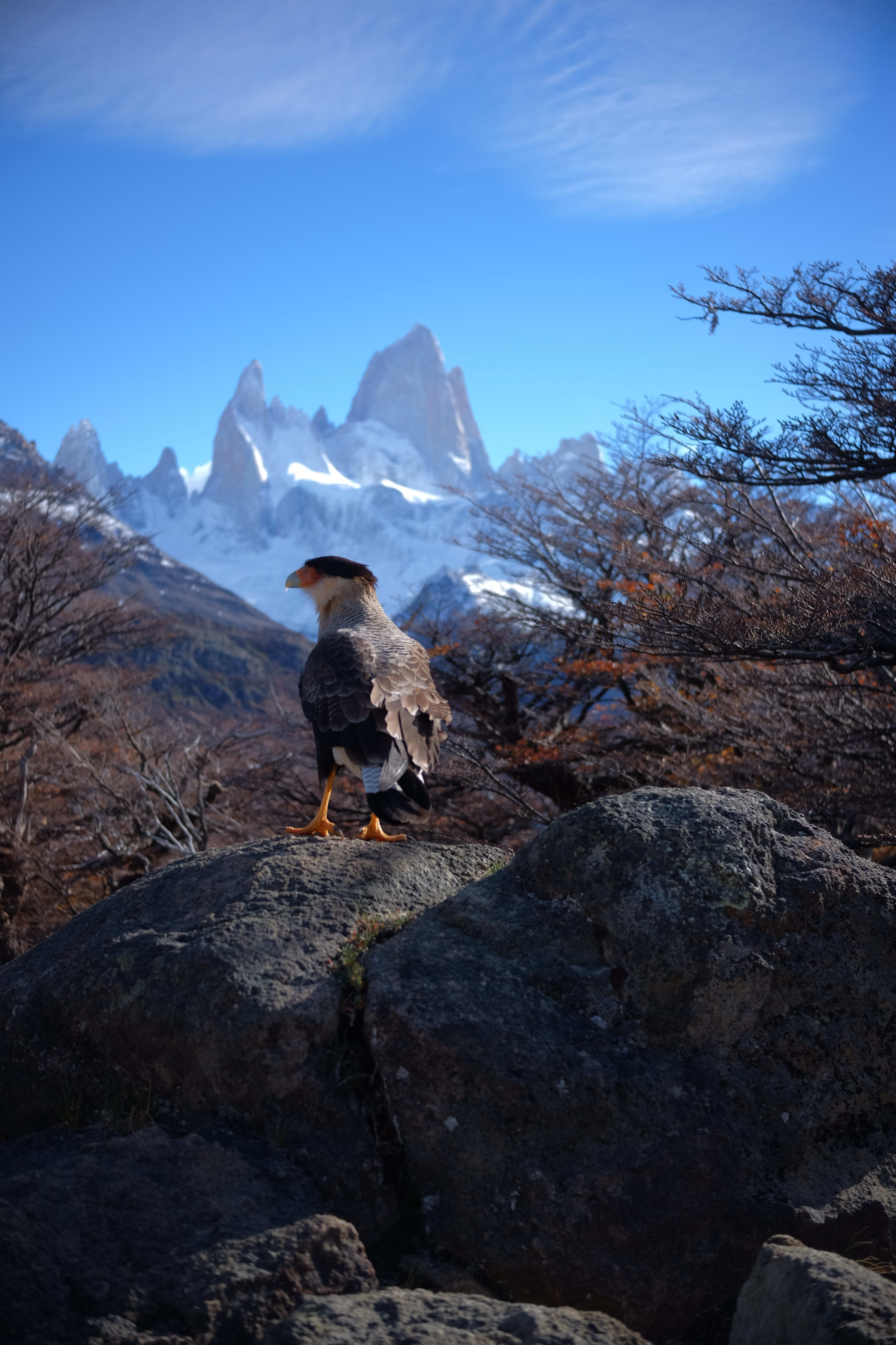 The Fitz Roy