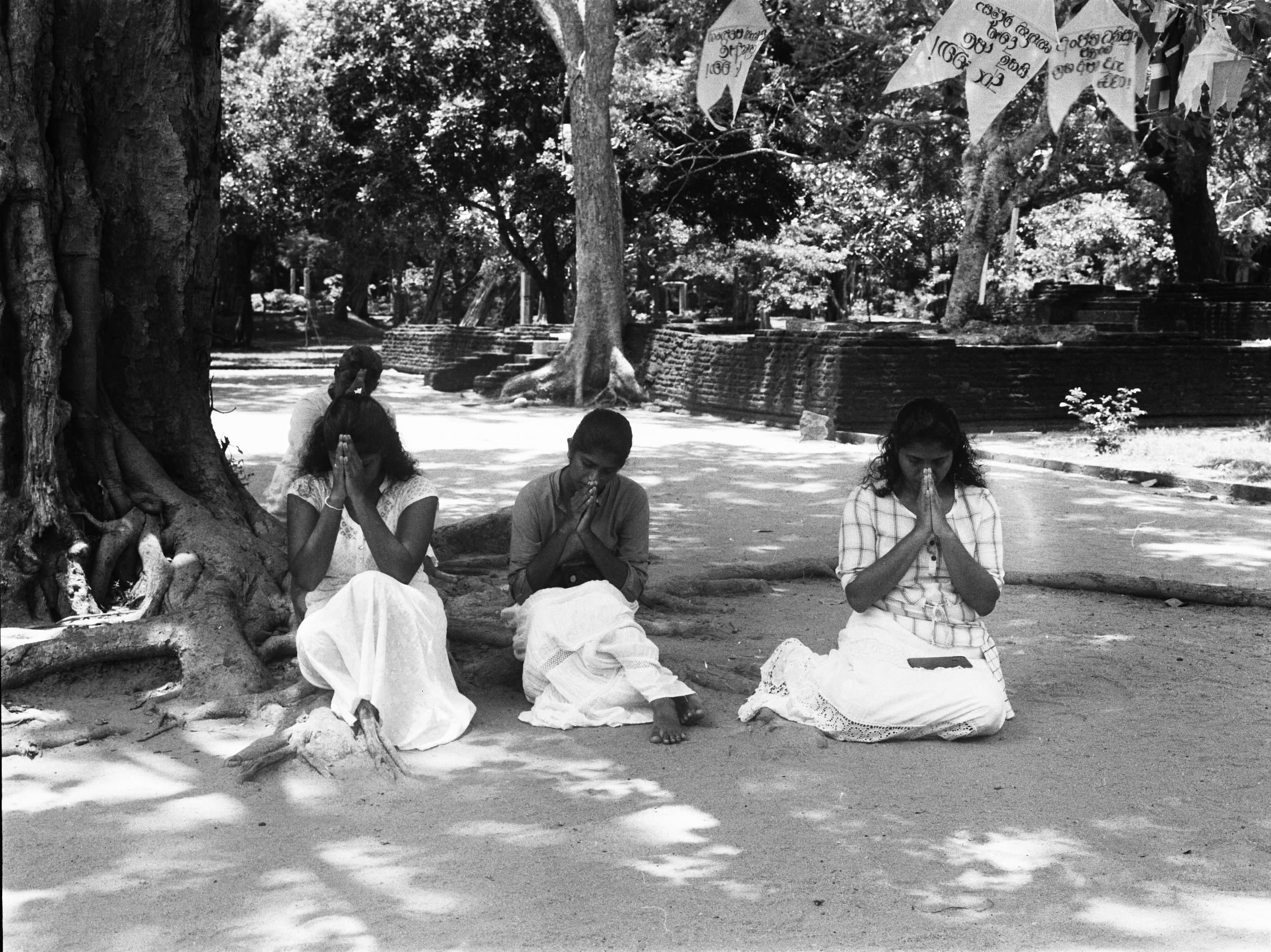 Roots