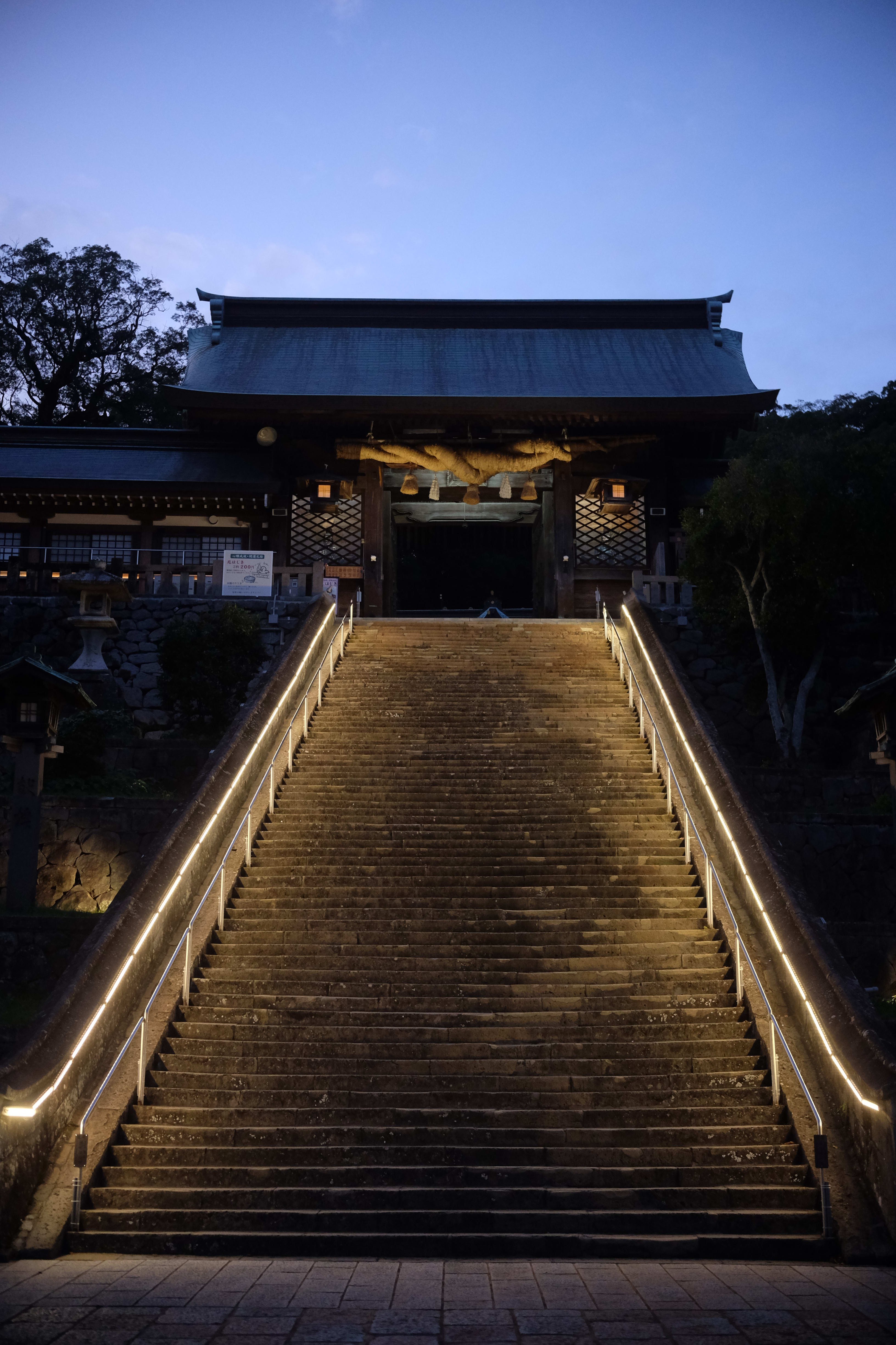 Night Ascent