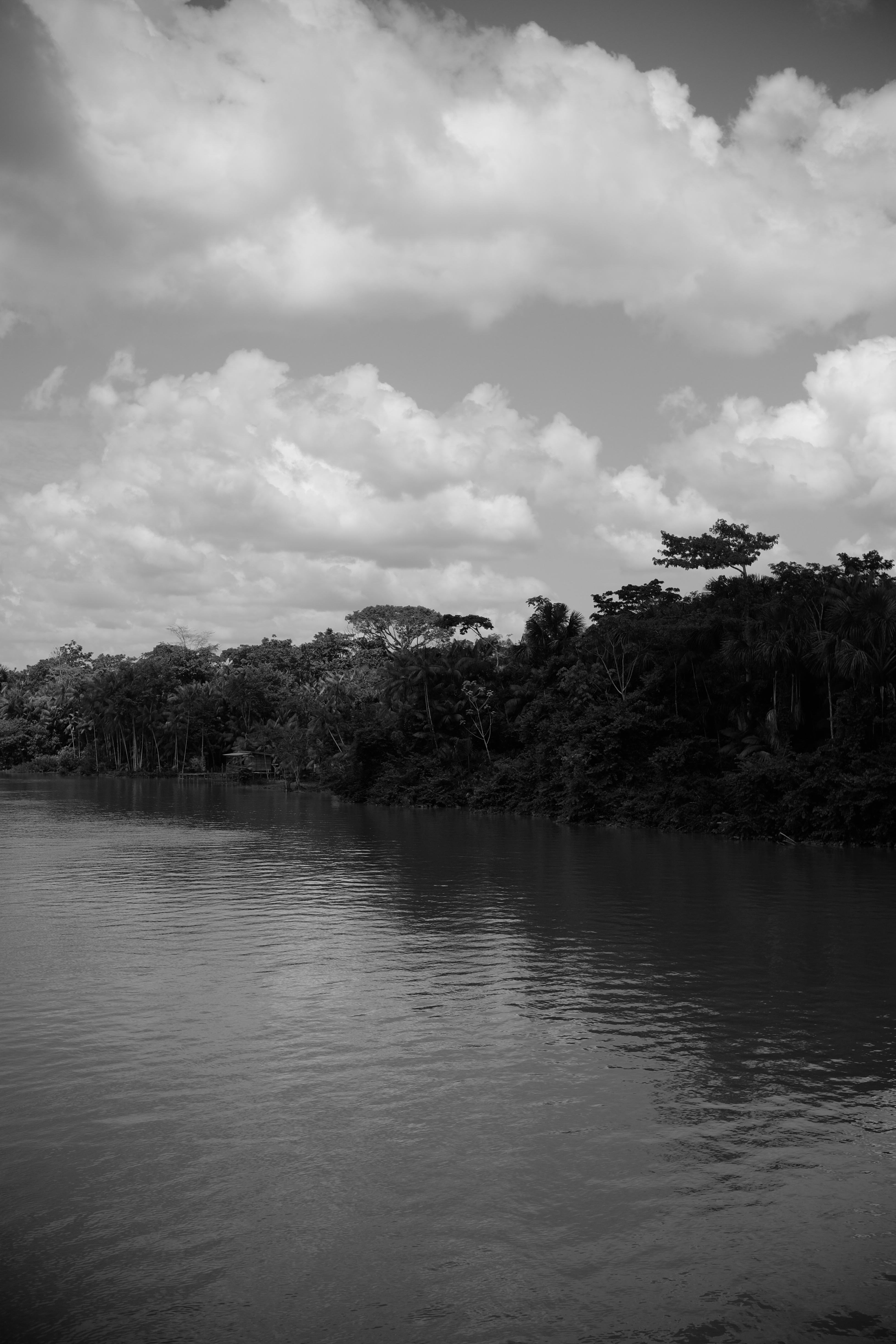 The River