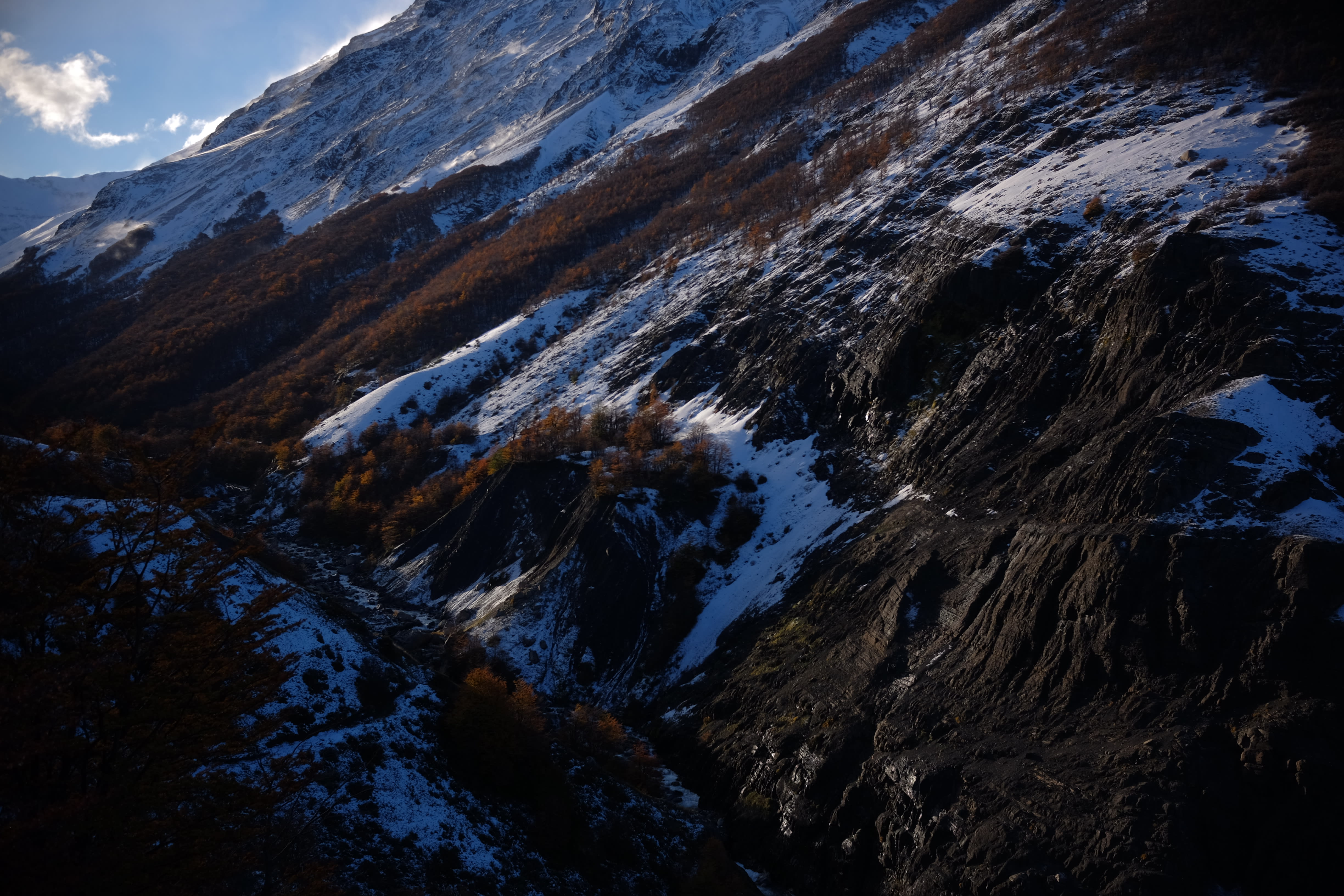 Boschi di lenga rossi e vette innevate in autunno