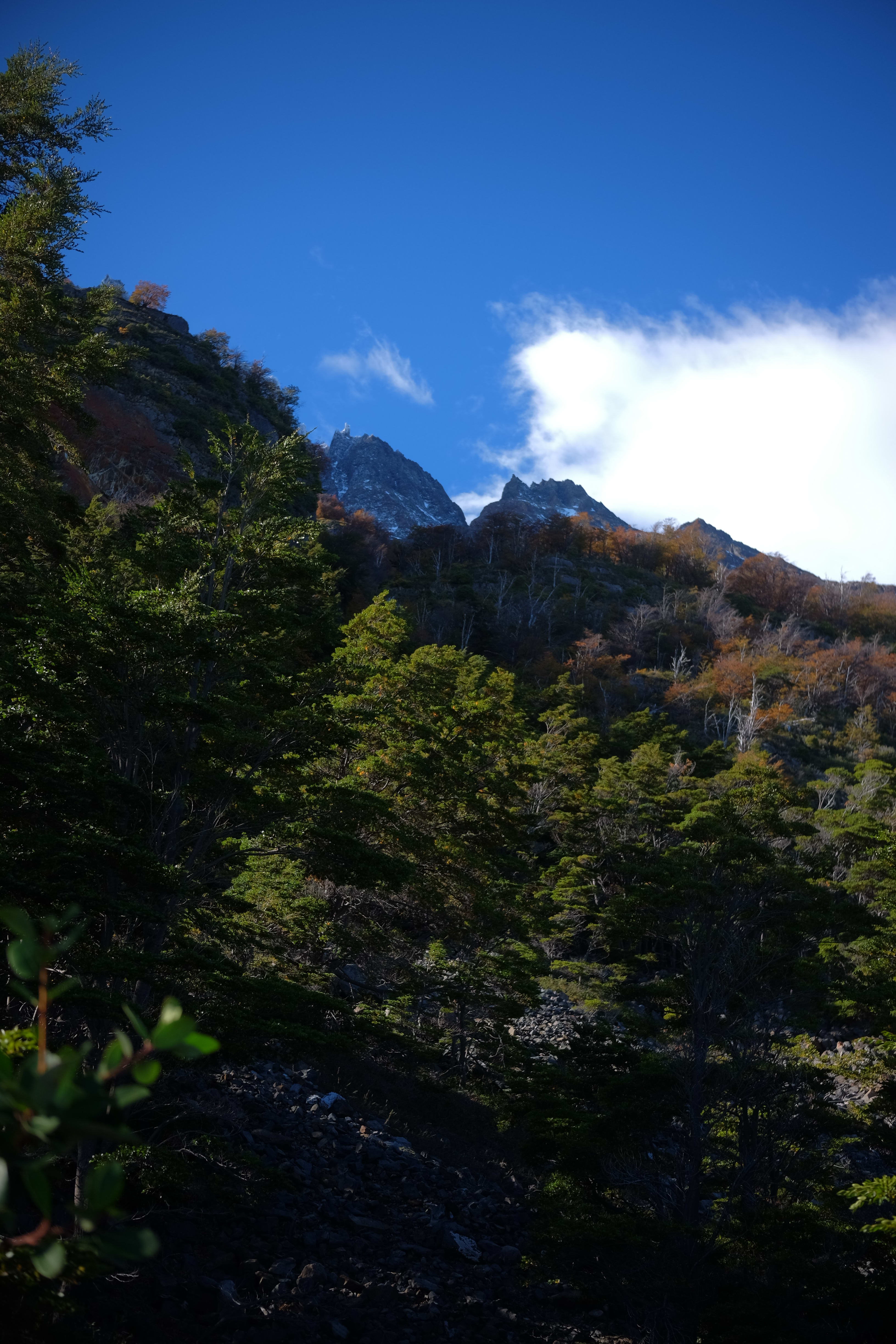 La Valle del Francés lungo il W Trek