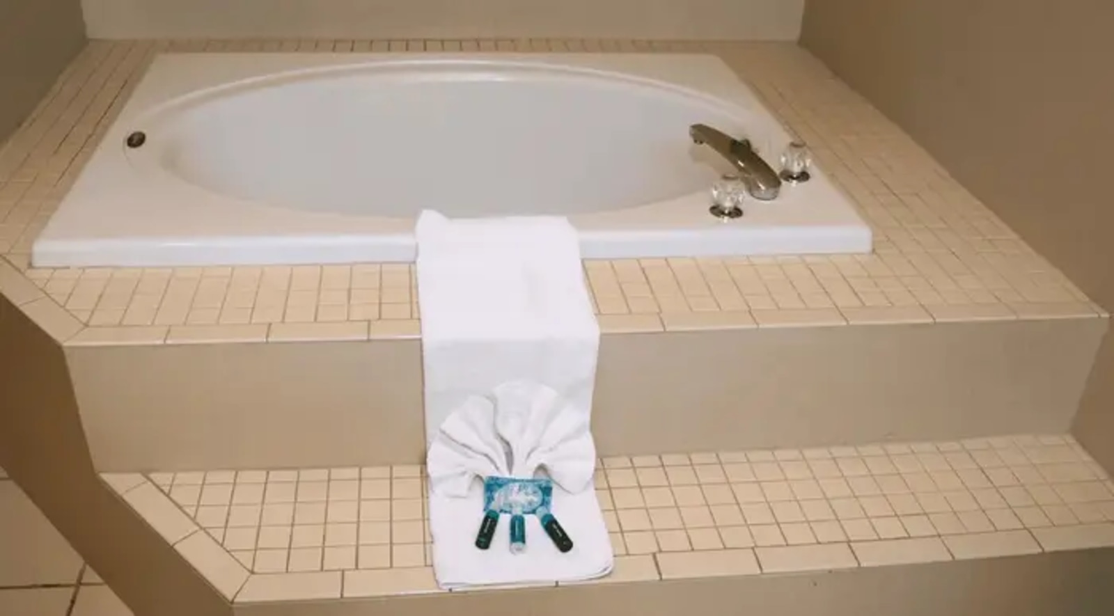 Holiday Inn Express & Suites Clearwater/Us 19 N