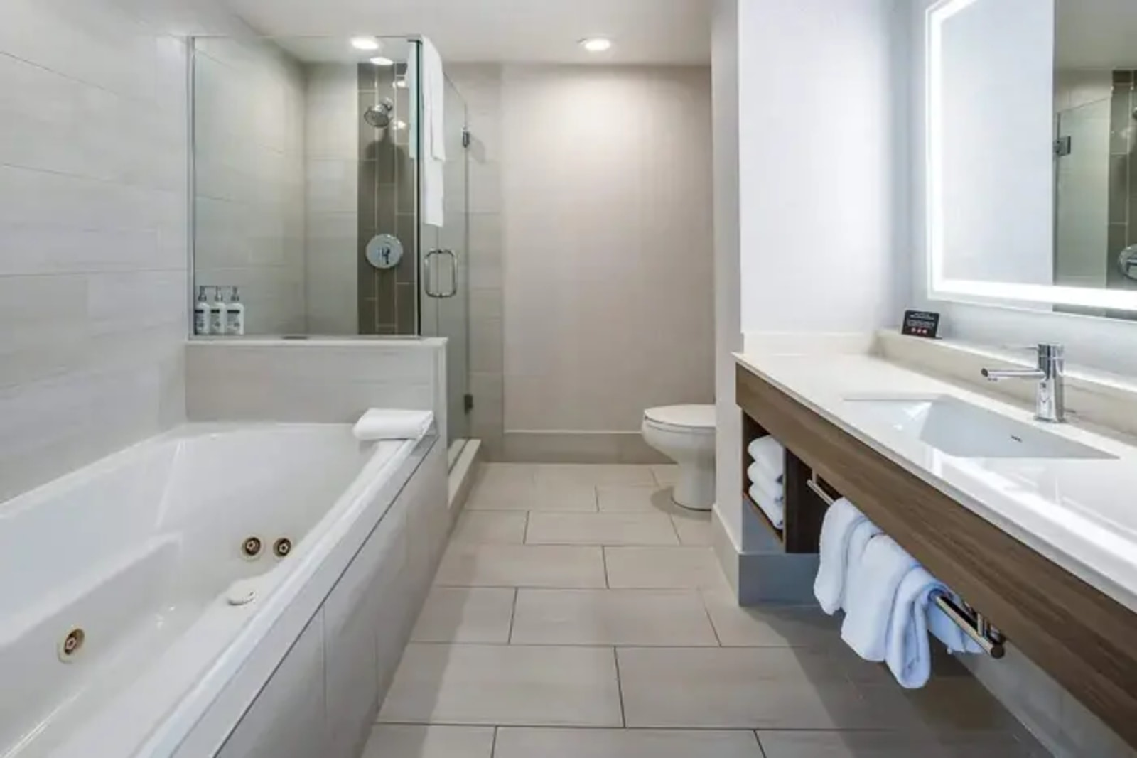 Holiday Inn Express & Suites Tampa-I-75