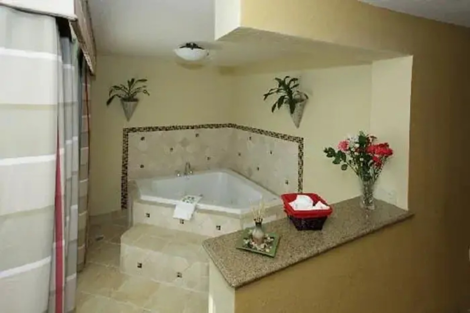 Country Inn & Suites by Radisson, Tampa