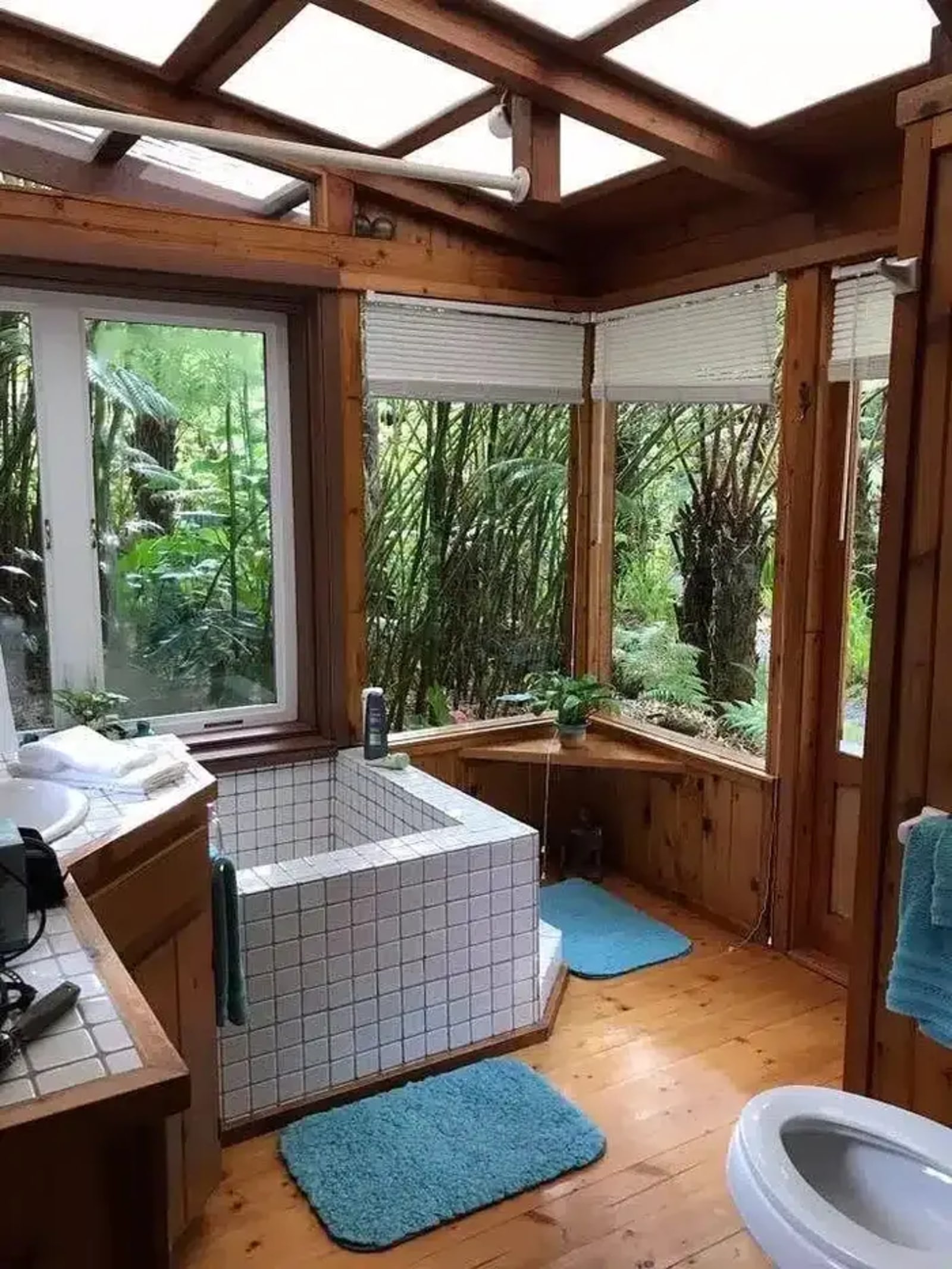 Volcano Rainforest Retreat