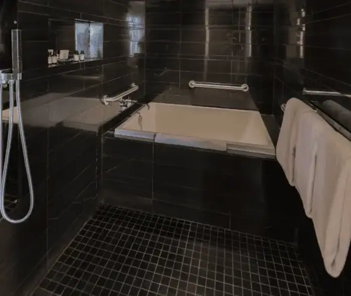 Hyatt Centric Wall Street New York