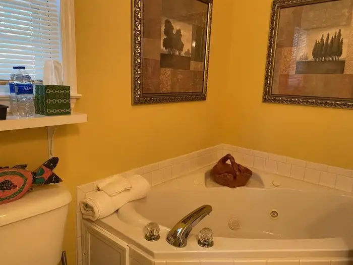 The Birdnest Inn - Jacuzzi Suite in Aiken