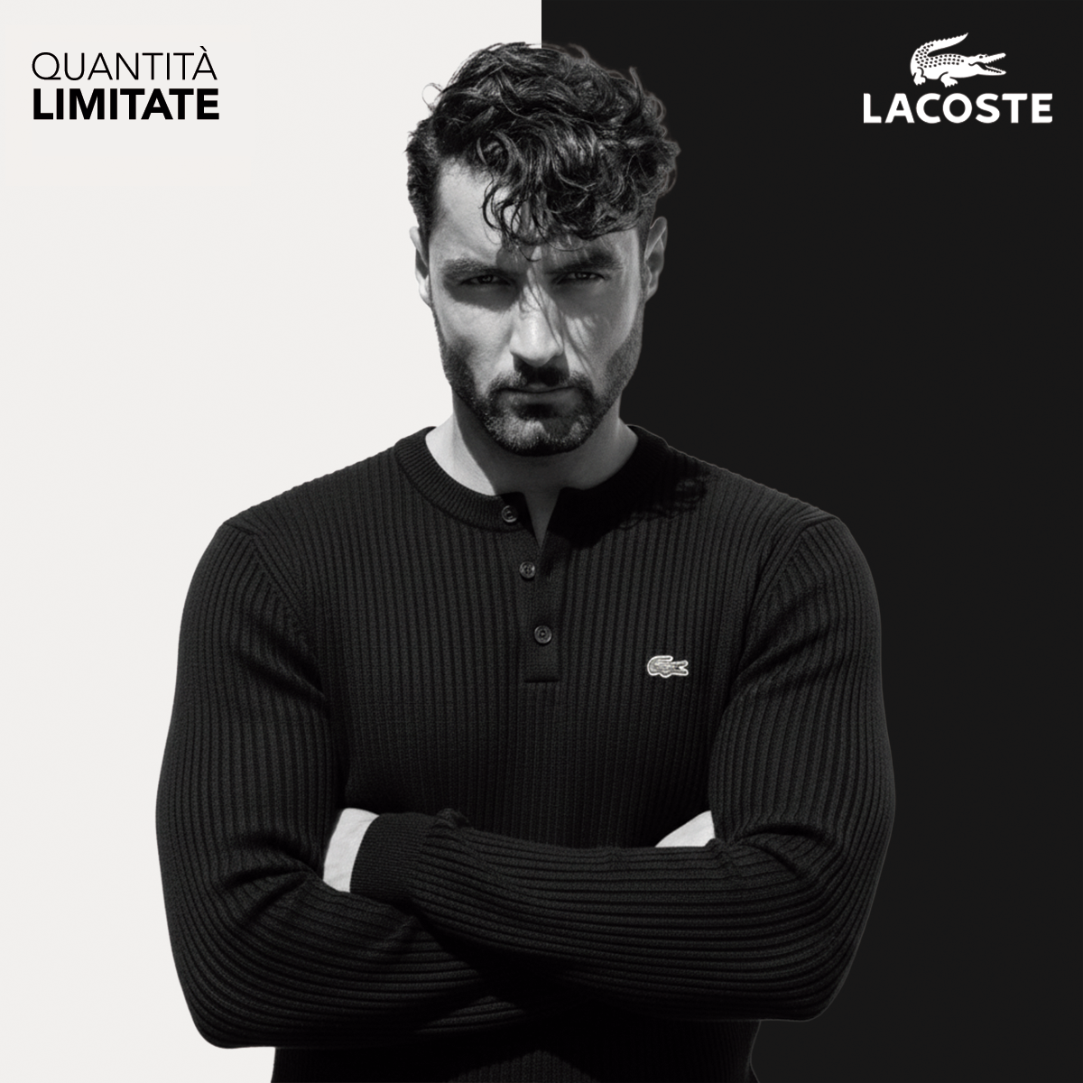 Maglione raffinato premium — dettagli in maglia e bottoni Henley