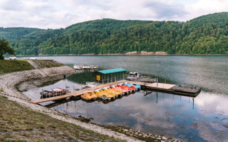 view of Rożnowskie Lake from the road