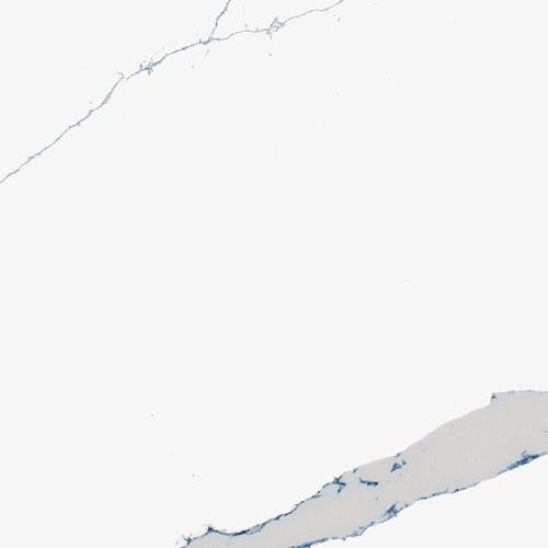 Calacatta Marina swatch