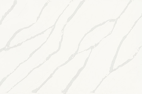 Independence Calacatta