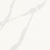 Independence Calacatta