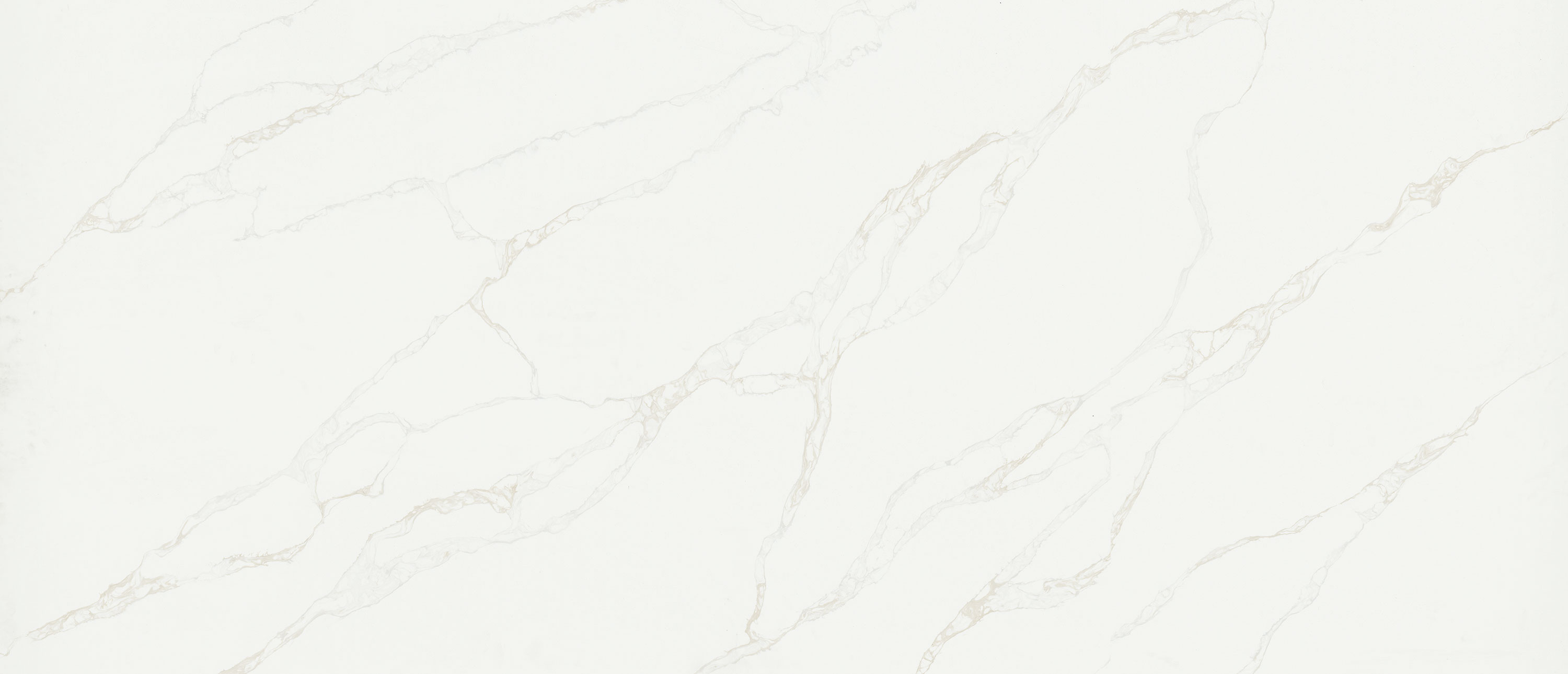 Calacatta Rivessa Quartz Slab