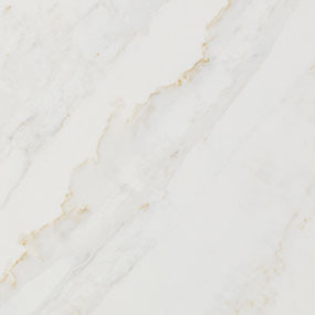 Calacatta Premata Thumb