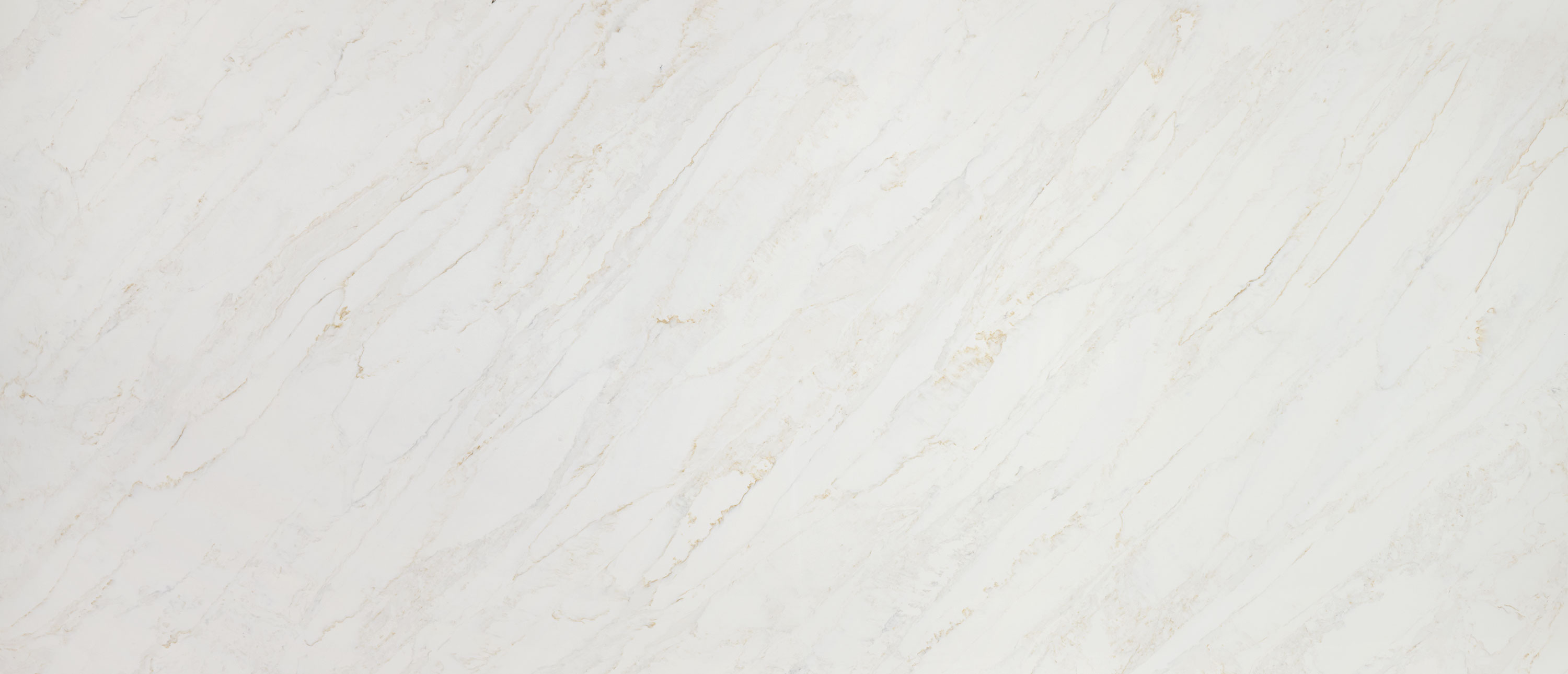 Calacatta Premata Slab