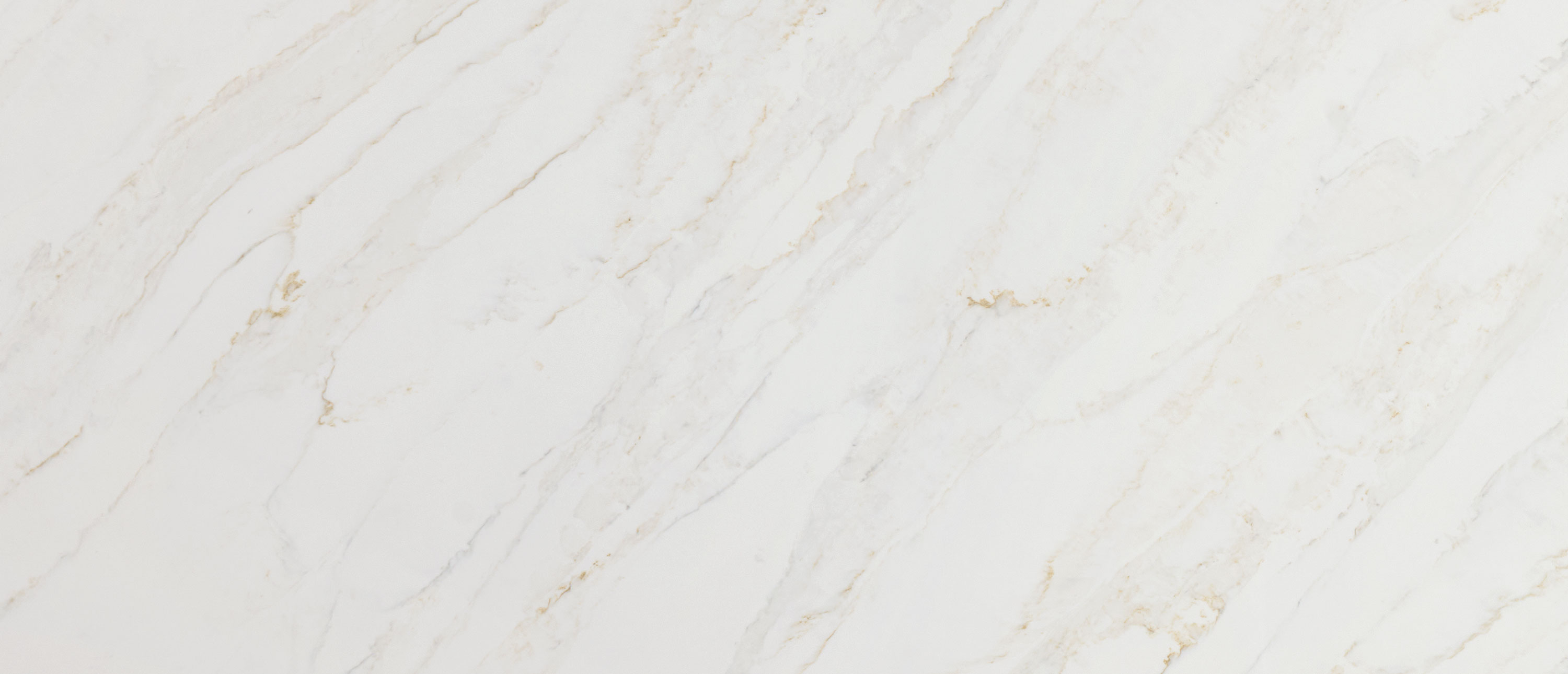 Calacatta Premata Sample