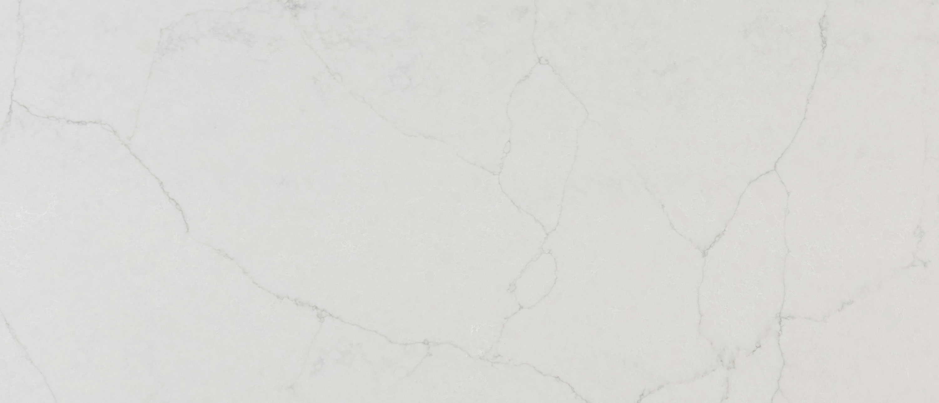 Calacatta Monaco Quartz Sample