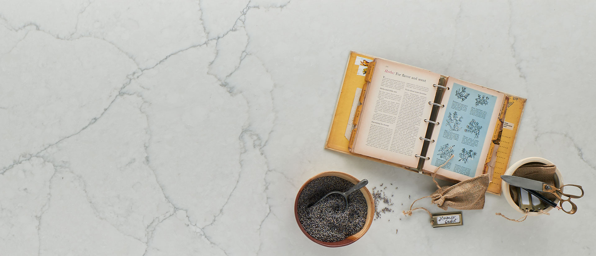 Calacatta Monaco Quartz Countertop in a Culinary Vignette