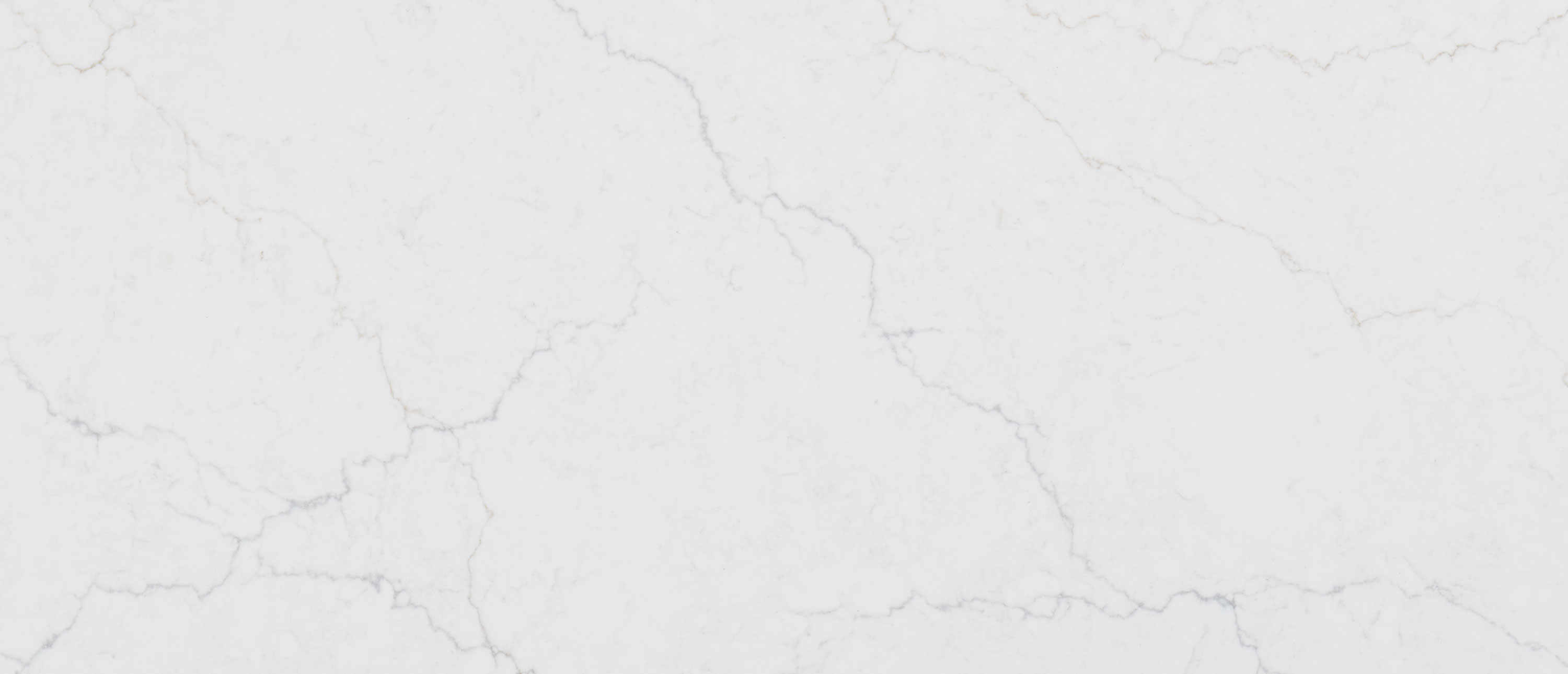 Calacatta Miraggio Duo Quartz Sample