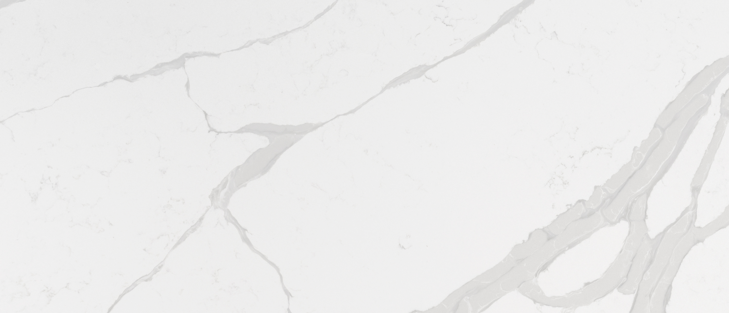 Calacatta Luccia Quartz Sample