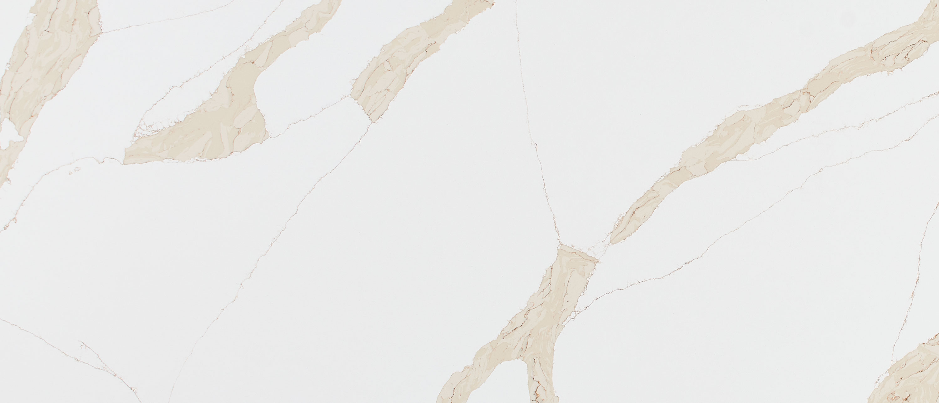 Calacatta Leon Gold Quartz Sample