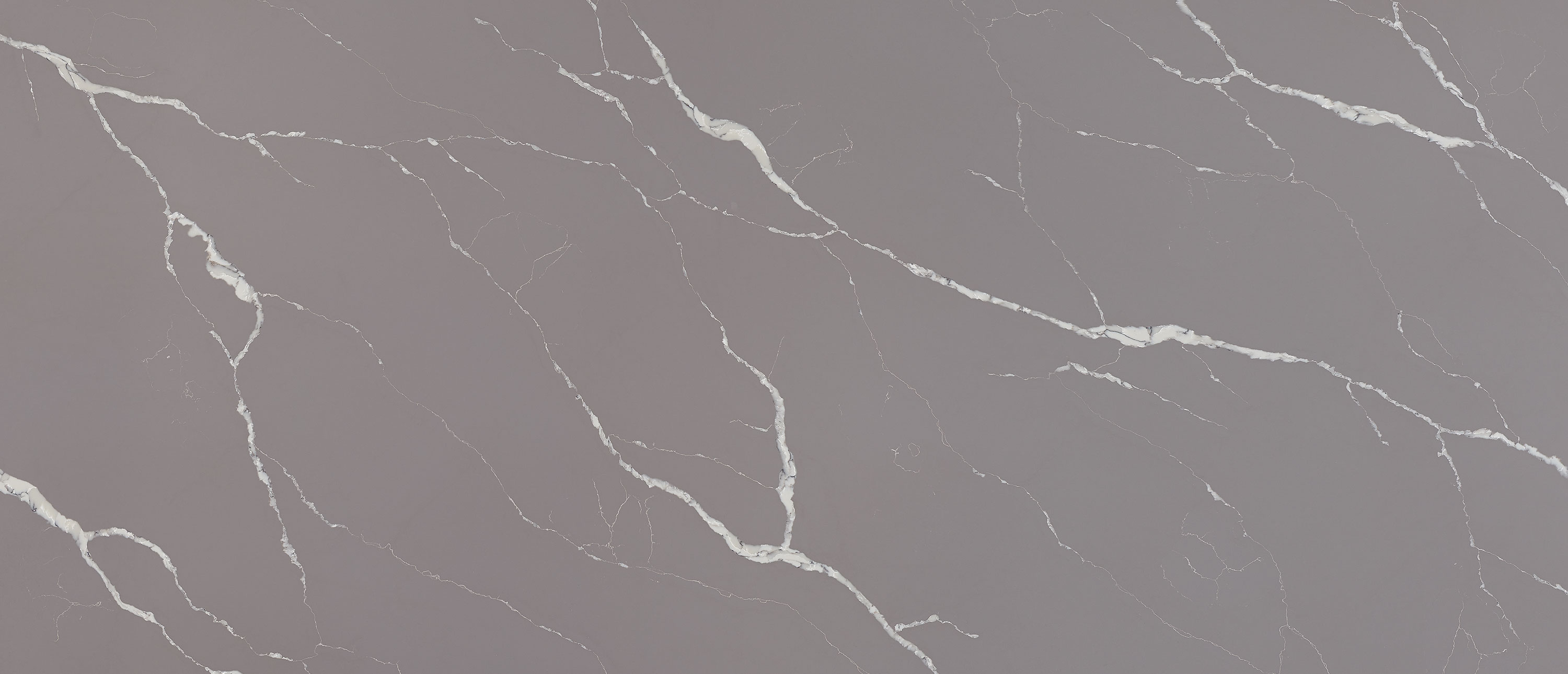 Calacatta Laza Grigio Quartz Countertop Close Up Slab