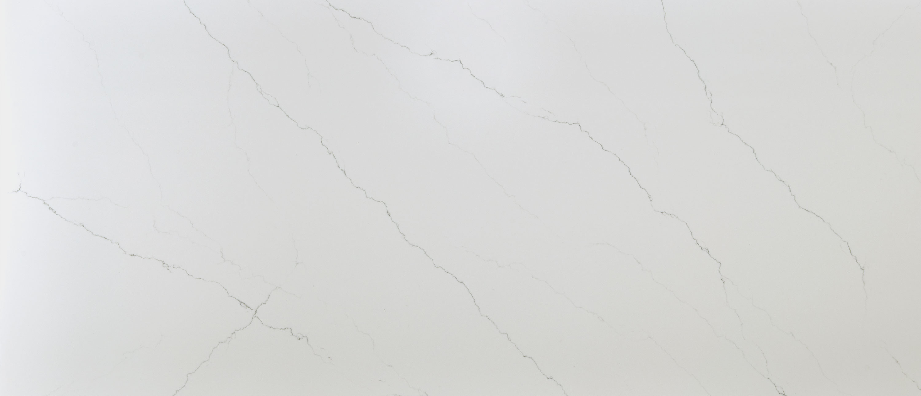 Calacatta Miraggio Honed Quartz Slab