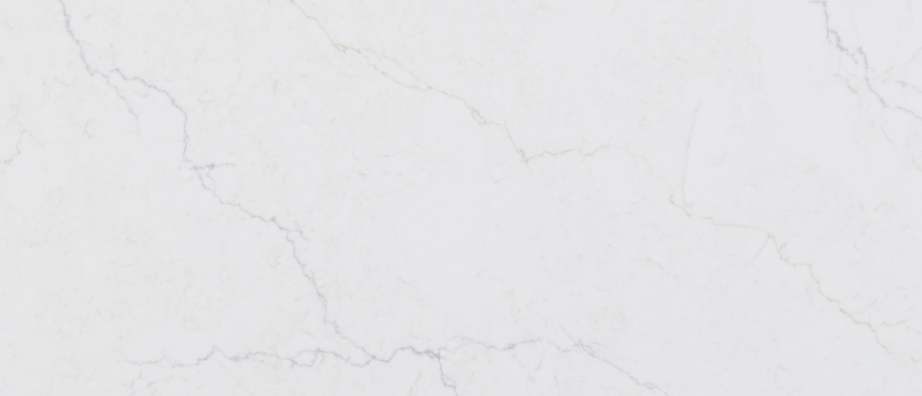 Calacatta Miraggio Duo Honed Sample