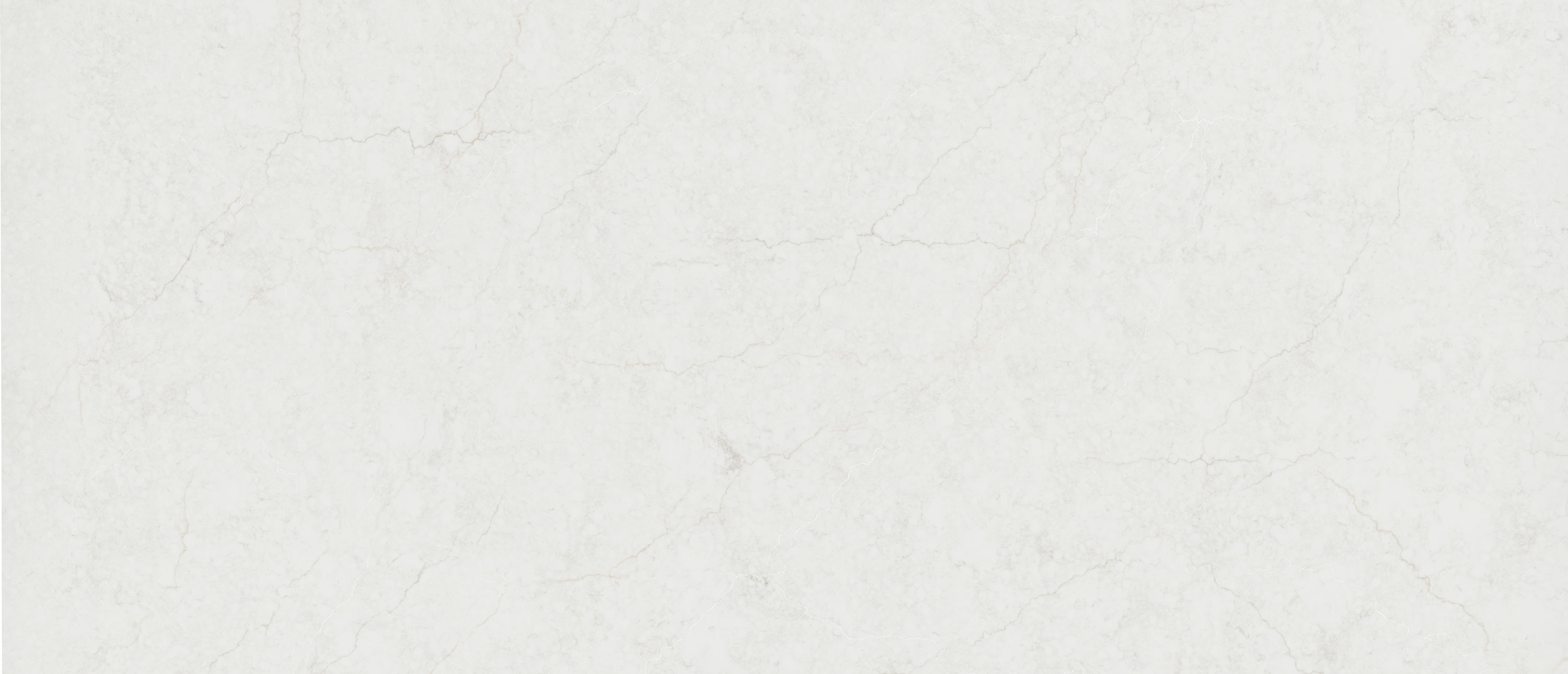 Calacatta Miraggio Cove Honed Slab