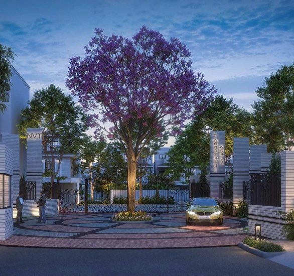 NVT A Wonderful World – Eterna