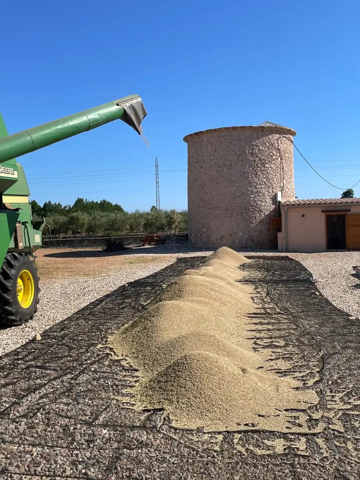 Traditional greixonera clay dish used for cooking Mallorcan arròs sec