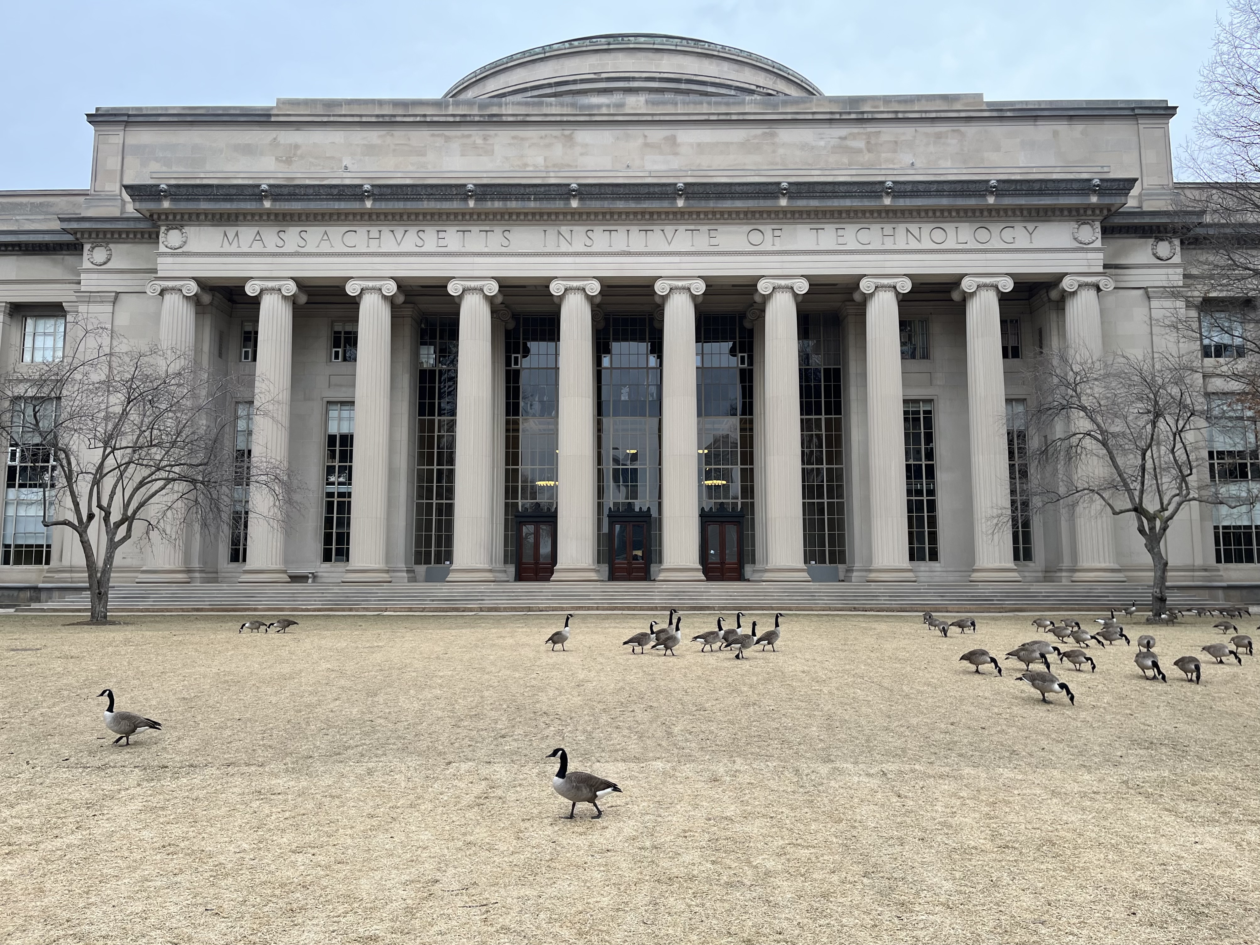 A head-on view of the MIT Dome with dozens of geese in front of it