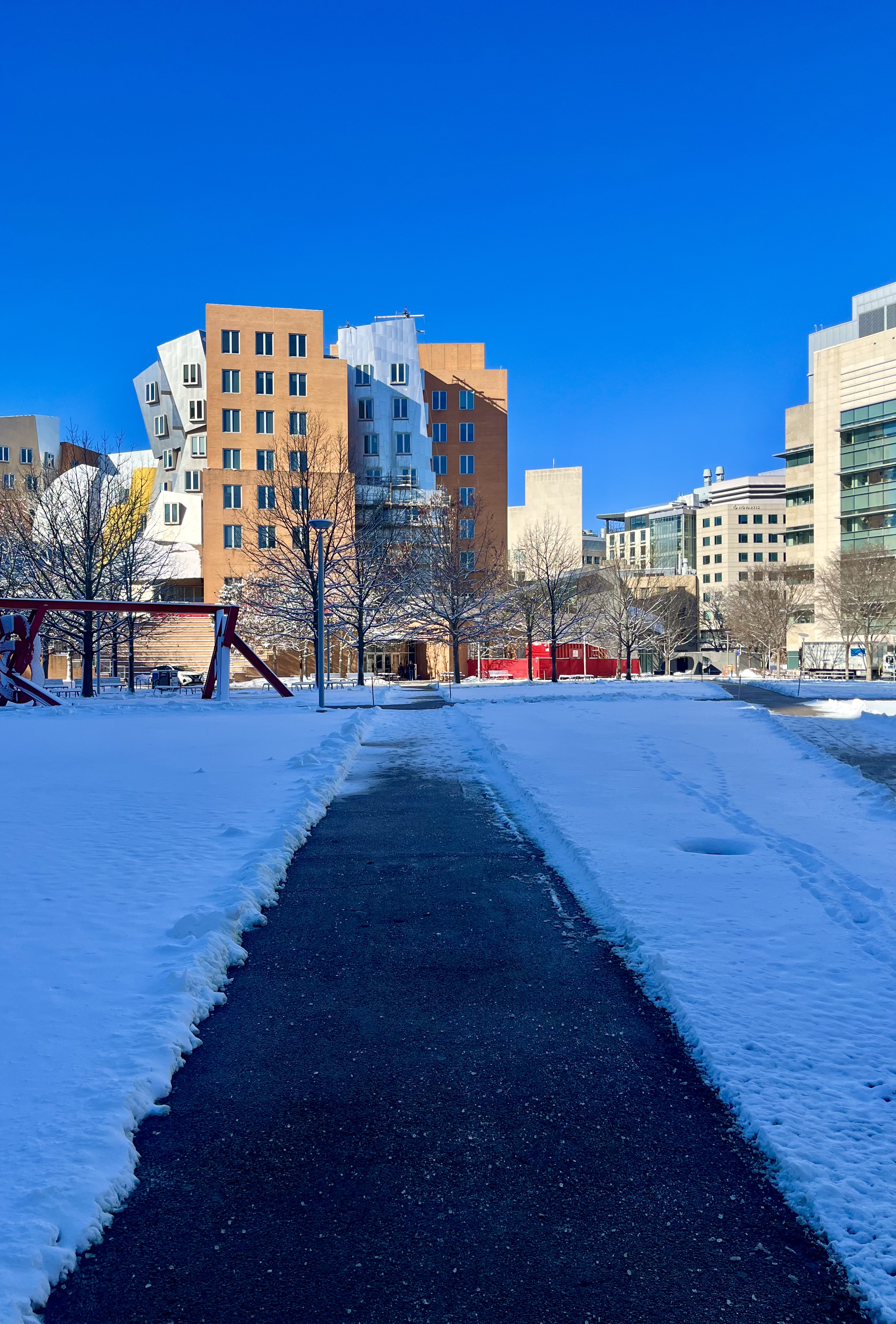 A view of MIT CSAIL from the back after heavy snowfall with a clear path in the middle
